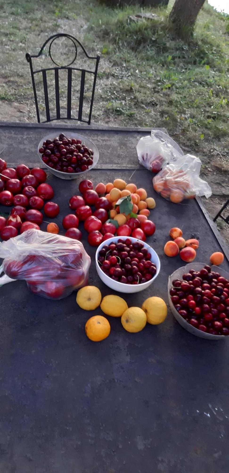 Les Lilas Des Chenes Piolenc Ngoại thất bức ảnh