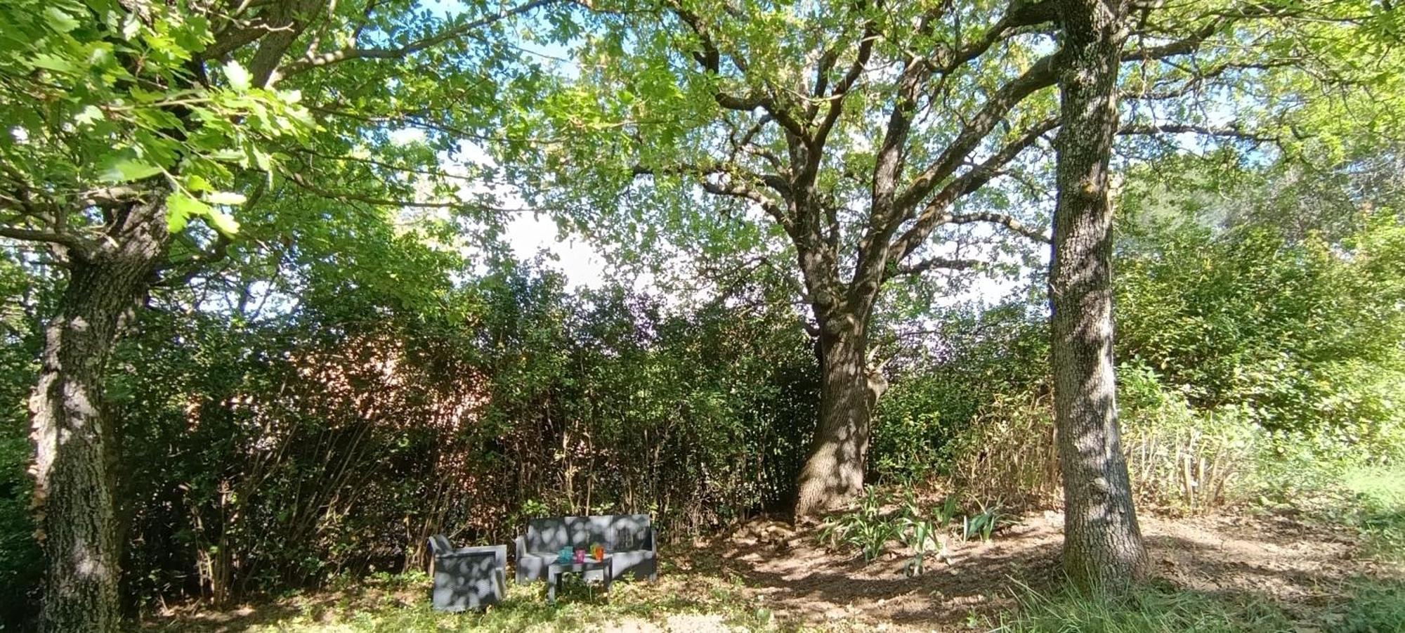 Les Lilas Des Chenes Piolenc Ngoại thất bức ảnh